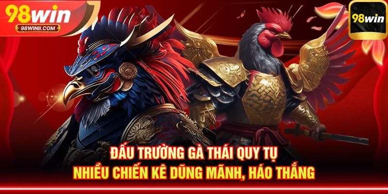 Đấu trường gà Thái quy tụ nhiều chiến kê dũng mãnh, háo thắng
